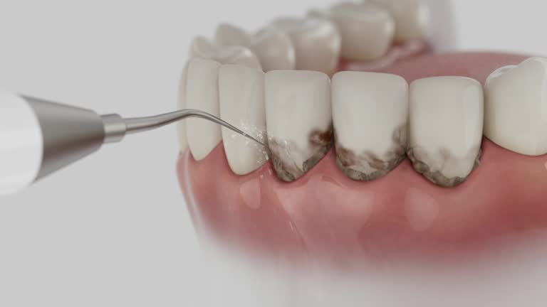 Reliable Dental contractor in Armada, MI by Dentist Open Now